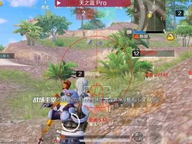 主播玩绝地求生都是用的辅助吗（主播玩绝地求生是用的电脑吗）