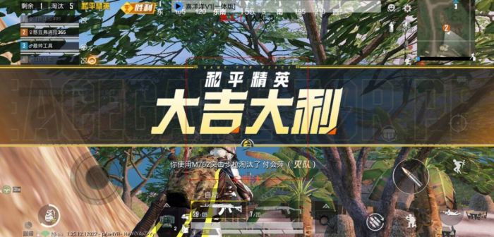 绝地求生小羊辅助功能介绍